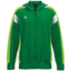 CELEBRATE 125 Trainingsjacke mit Kapuze smaragdgreengecko