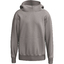 PREMIA Hoody taupe