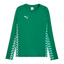 teamLIGA26 Training Sweat sportgreenpumawhitesportgreen