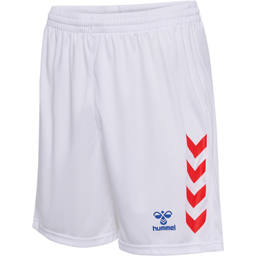 hmlGRAPHIC UNIVERSE SHORTS