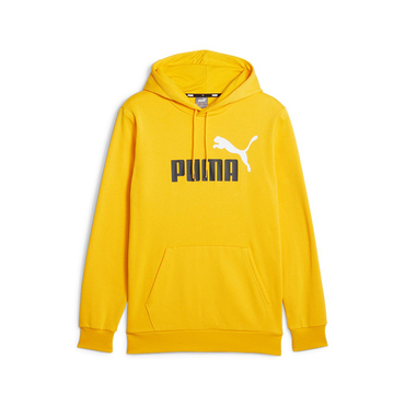 ESS+ 2 Col Big Logo Hoodie FL