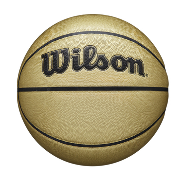 NBA GOLD EDITION BASKETBALL BLANK2