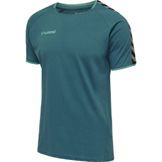 HMLAUTHENTIC TRAINING TEE-697896