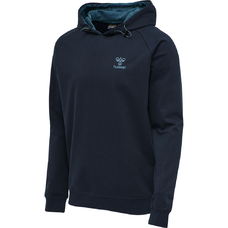 HMLACTION COTTON HOODIE-858631