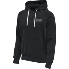 HMLGG12 SWEAT HOODIE-1046666