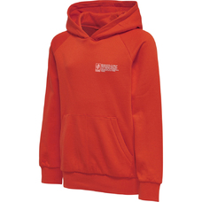 HMLGG12 SWEAT HOODIE KIDS-1046695