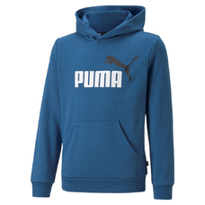 ESS+ 2 COL BIG LOGO HOODIE FL B-2037589