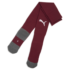 teamLIGA26 Socks Core-2444441