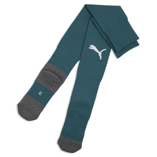 teamLIGA26 Socks Core-2444529